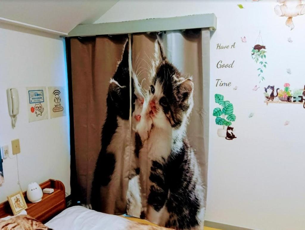 Tokyo Shibuya Shinjyuku Cat House ! Apartman Kültér fotó