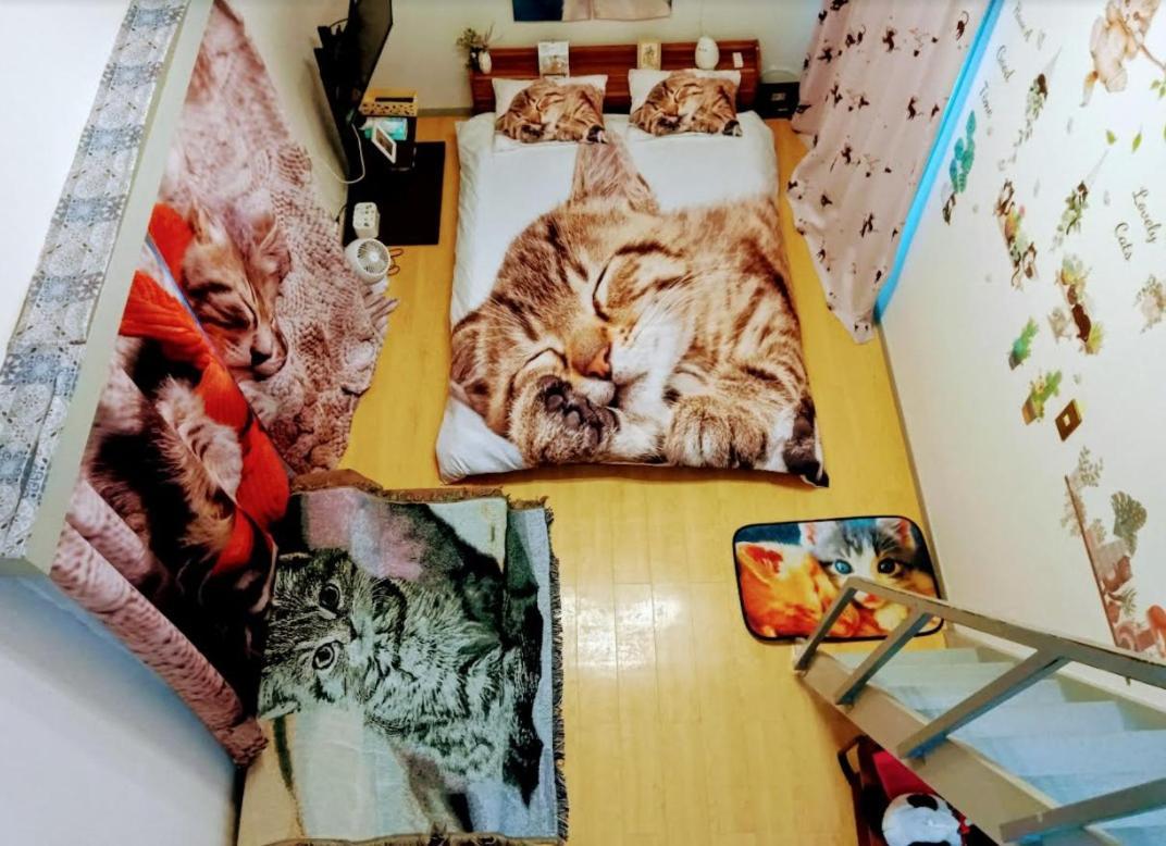 Tokyo Shibuya Shinjyuku Cat House ! Apartman Kültér fotó