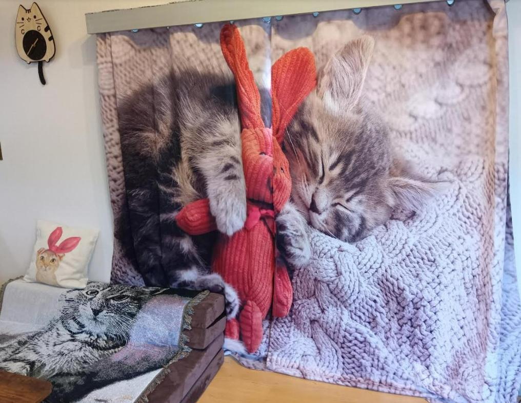Tokyo Shibuya Shinjyuku Cat House ! Apartman Kültér fotó
