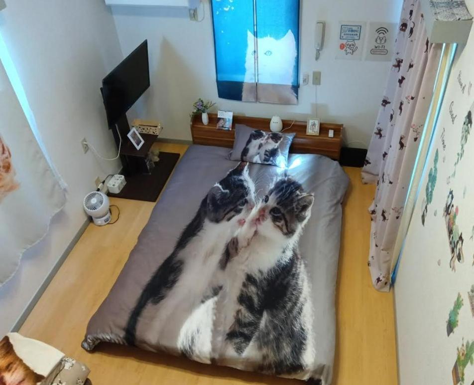Tokyo Shibuya Shinjyuku Cat House ! Apartman Kültér fotó