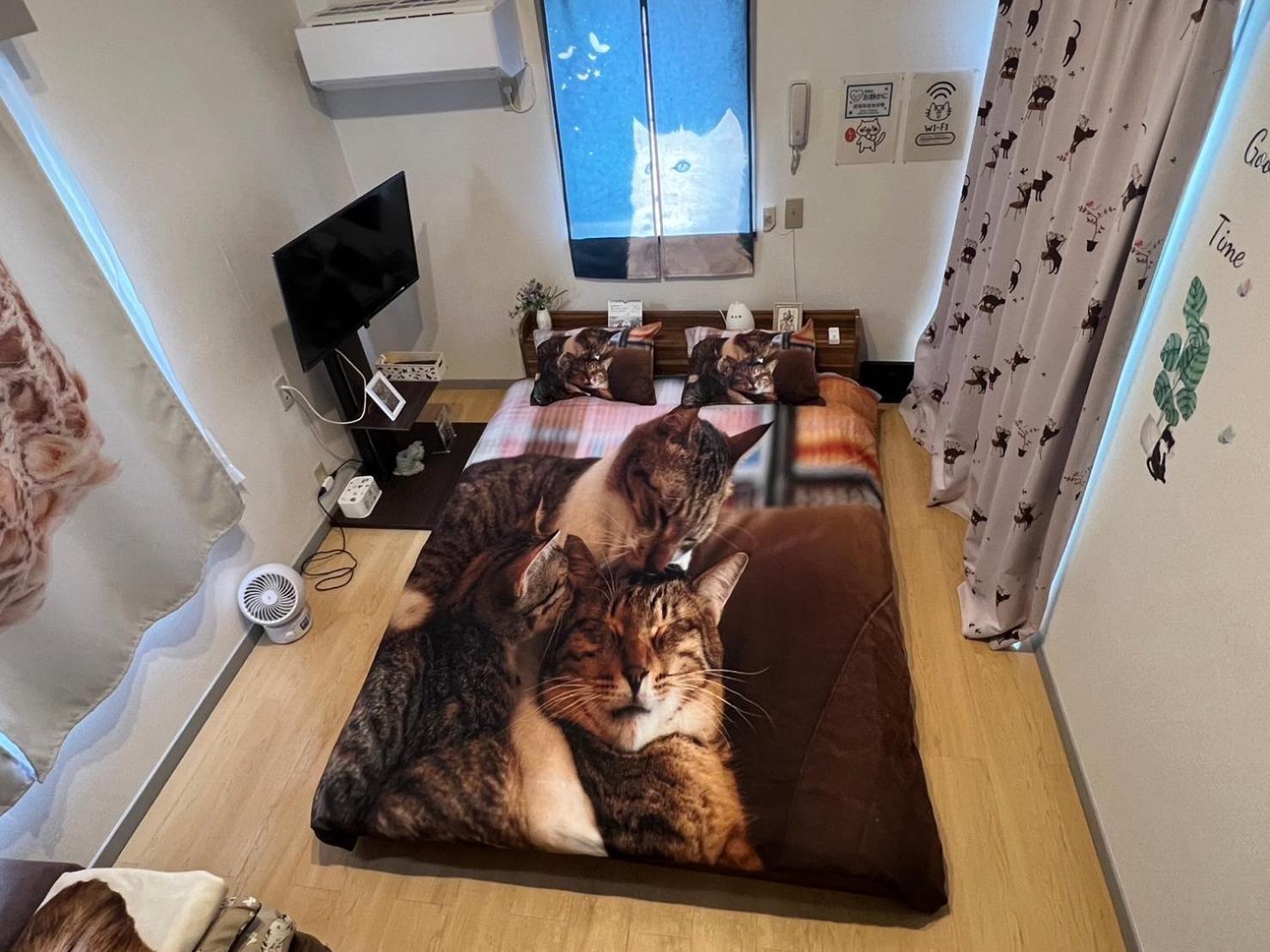 Tokyo Shibuya Shinjyuku Cat House ! Apartman Kültér fotó