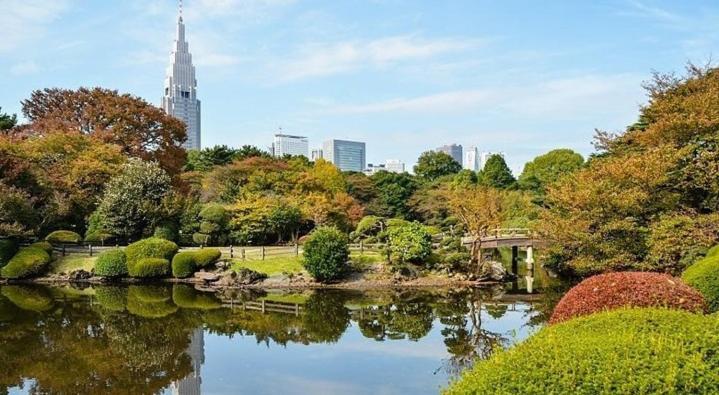 Tokyo Shibuya Shinjyuku Cat House ! Apartman Kültér fotó