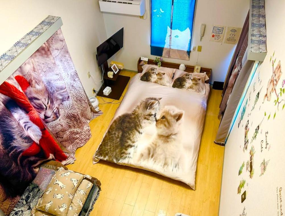 Tokyo Shibuya Shinjyuku Cat House ! Apartman Kültér fotó