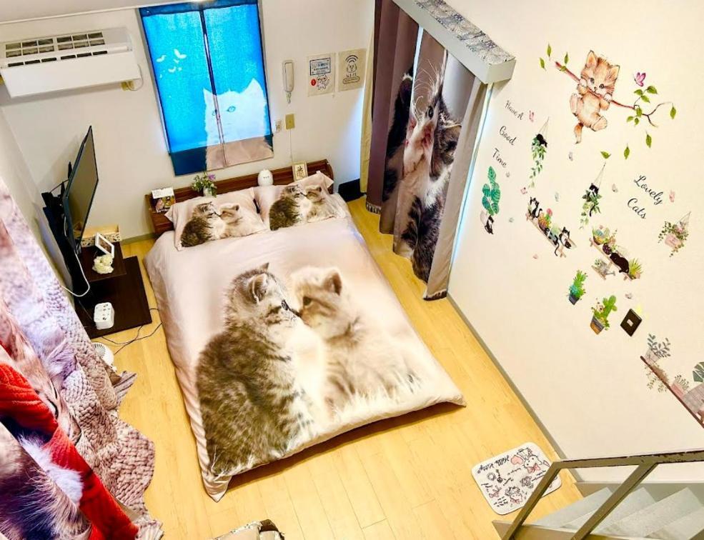Tokyo Shibuya Shinjyuku Cat House ! Apartman Kültér fotó
